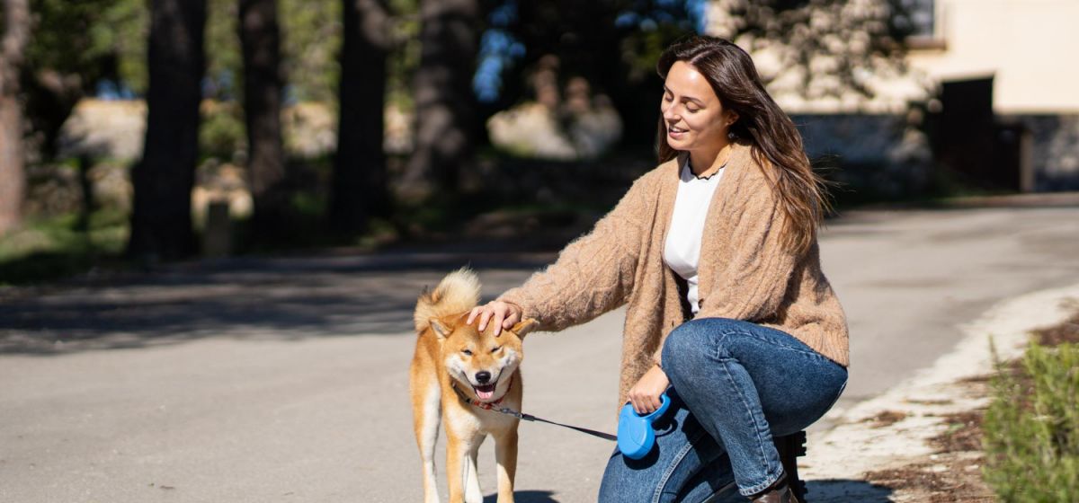 Transformando Paixão em Profissão: O Fascinante Mundo do Pet Sitter e Passeador de Cães