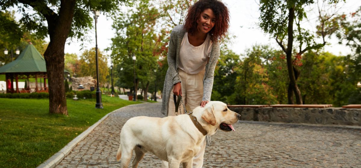 Pet Sitter e Passeador de Cães: Transformando a Paixão por Animais em Profissão